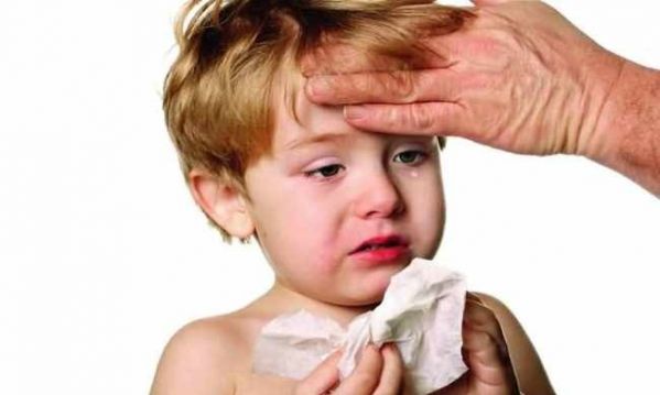 283bc6a75a6d06ba90695e7d396fa929_L